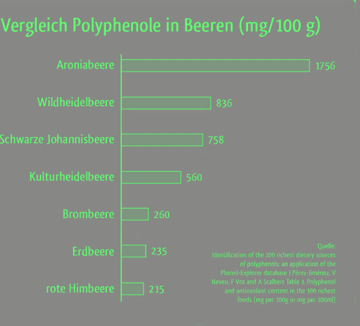 Aronia Polyphenole